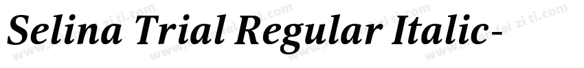 Selina Trial Regular Italic字体转换